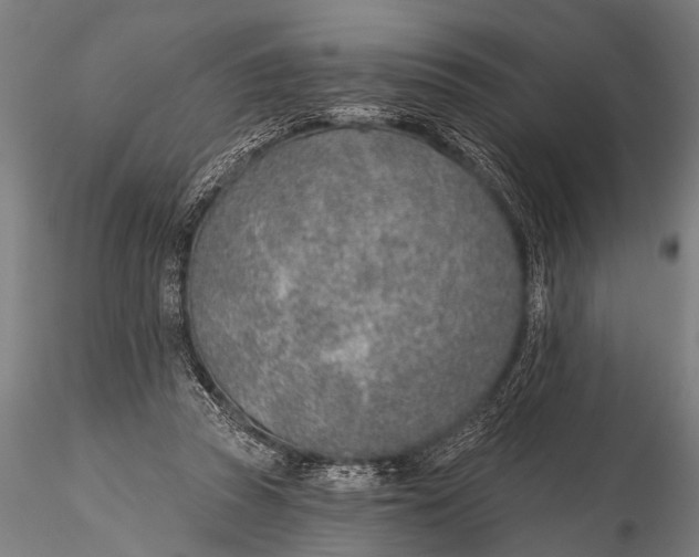 X0000116110353200912141026