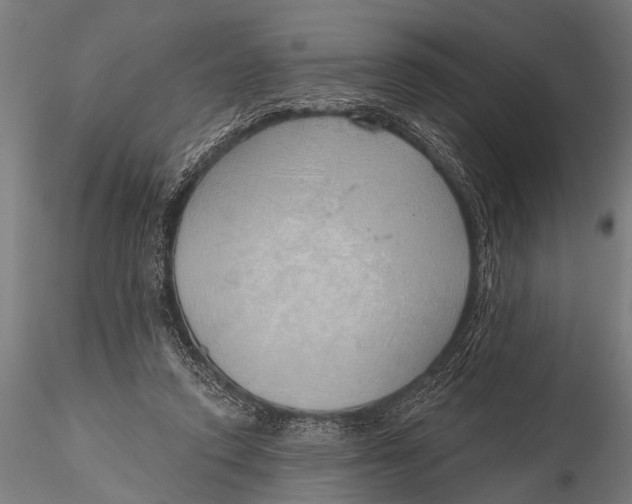 X0000116110354200912141026