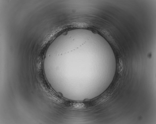 X0000116110355200912141026