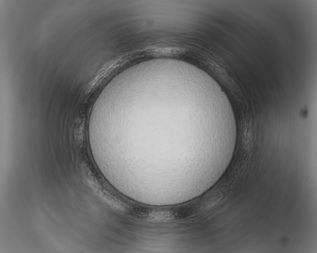 X0000116110357200912141026