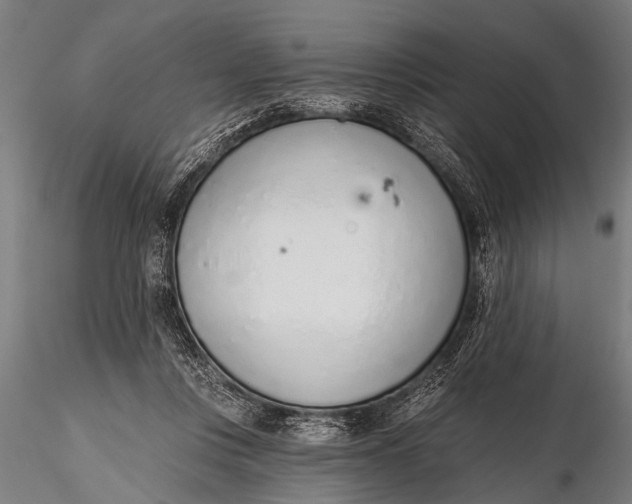 X0000116110359200912141026