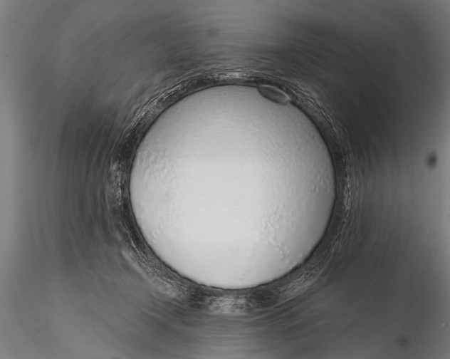 X0000116110366200912141026