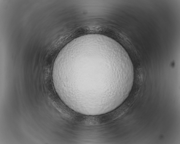 X0000116110369200912141026