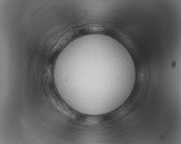 X0000116110373200912141026