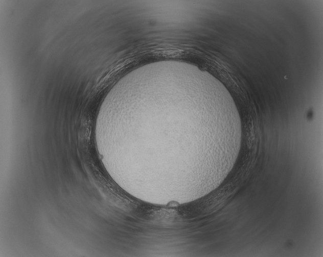 X0000116110374200912141026