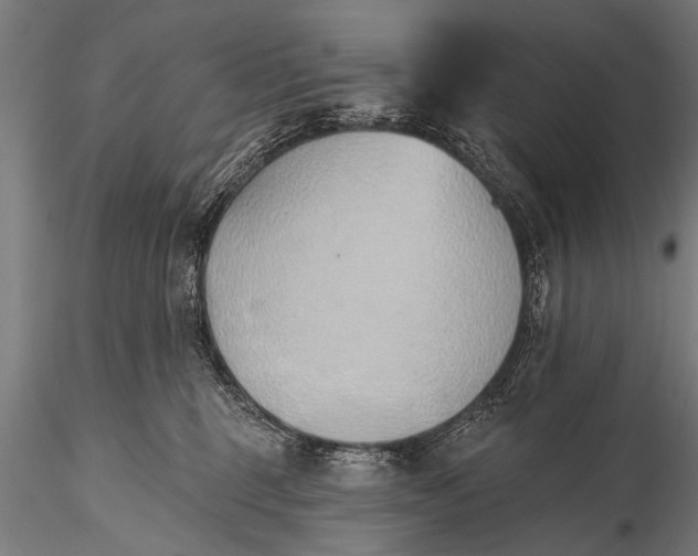 X0000116110375200912141026