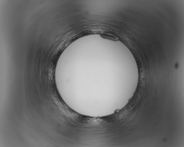 X0000116110379200912141026