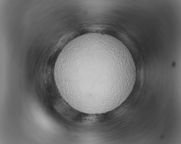 X0000116110381200912141026