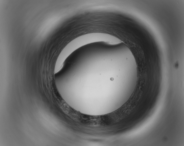 X0000116110382200912141026