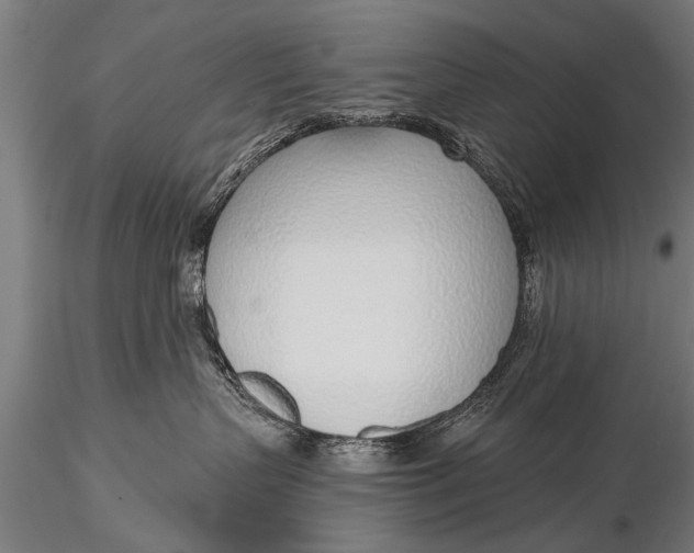 X0000116110383200912141027