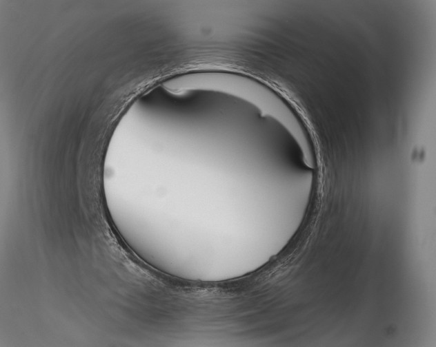 X0000116110385200912141026