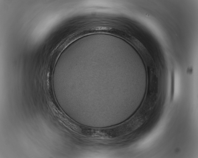 X0000116110387200912141026