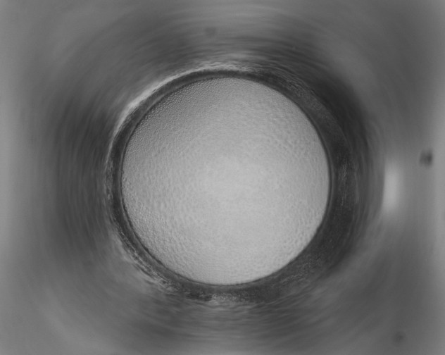 X0000116110388200912141026