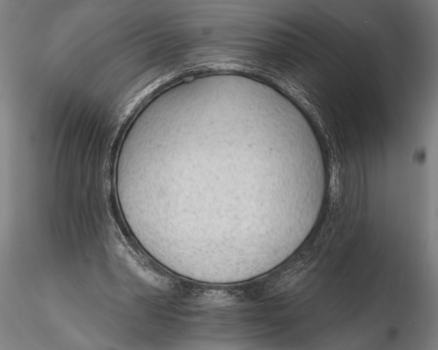 X0000116110390200912141026