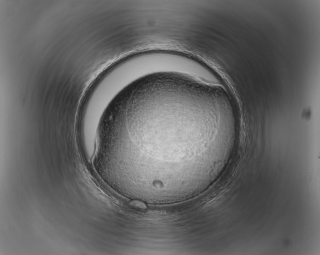 X0000116110391200912141026