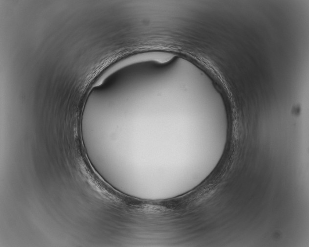 X0000116110393200912141026