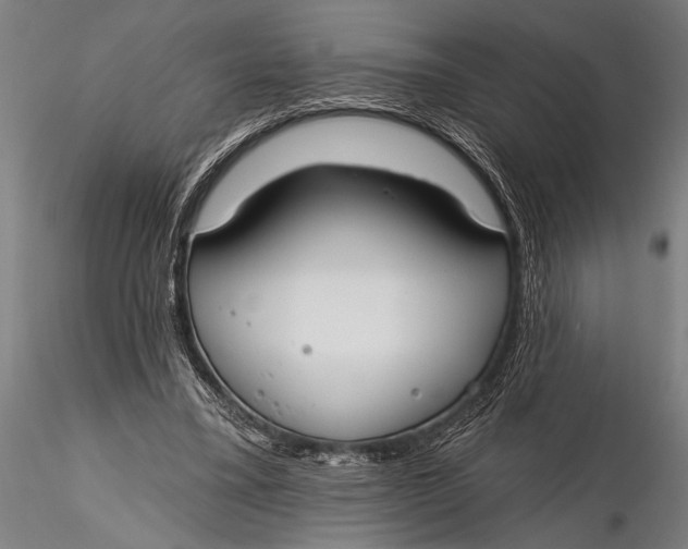 X0000116110395200912141026