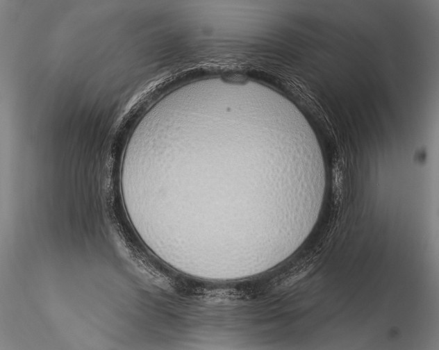 X0000116110396200912141026