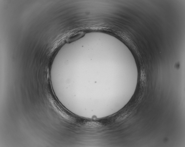 X0000116110397200912141026