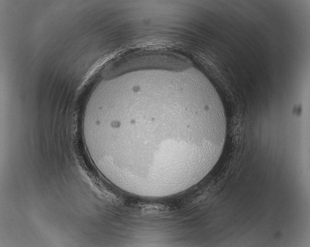 X0000116110400200912141025