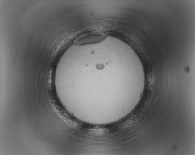 X0000116110404200912141025