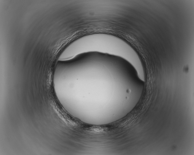 X0000116110405200912141025