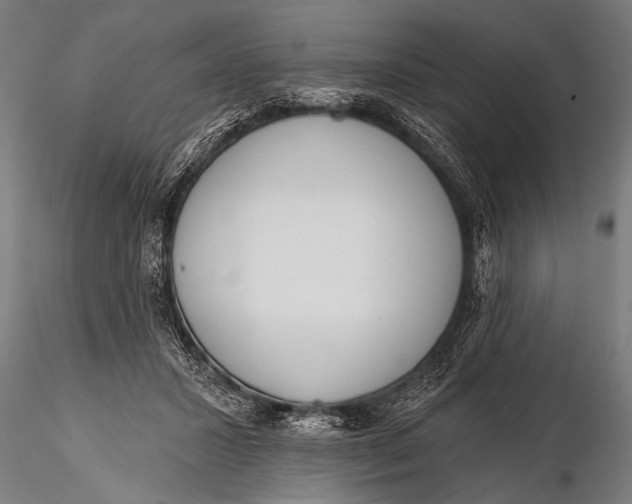 X0000116110407200912141025