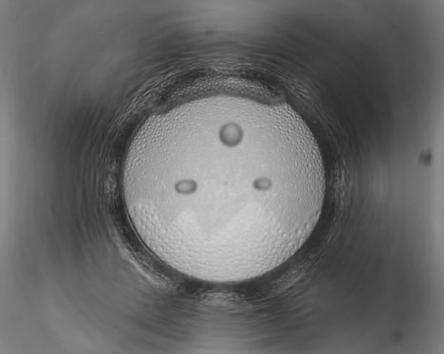 X0000116110408200912141025