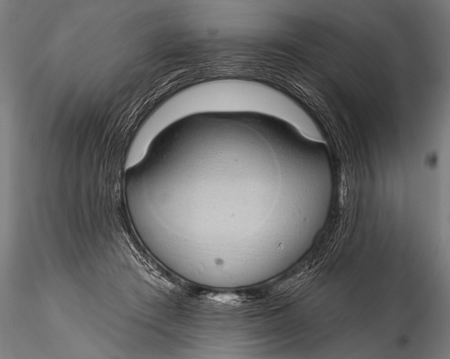 X0000116110409200912141025