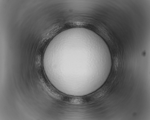 X0000116110410200912141025