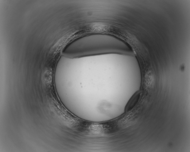 X0000116110413200912141025