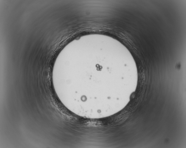 X0000116110415200912141025