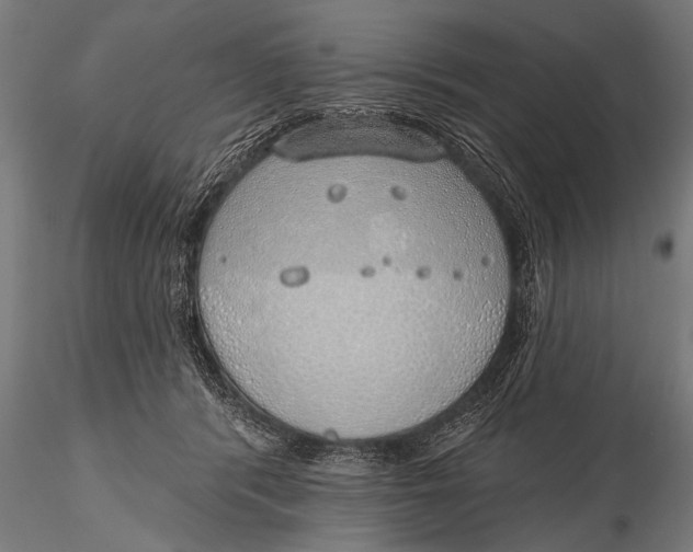 X0000116110416200912141025