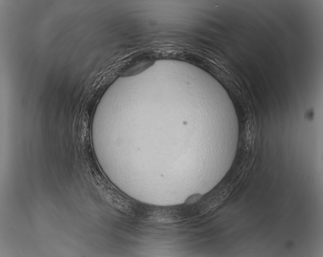 X0000116110417200912141025