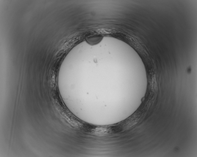 X0000116110418200912141025