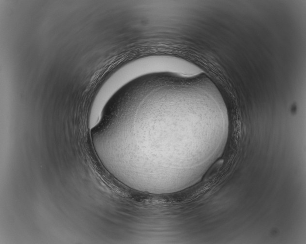 X0000116110419200912141025