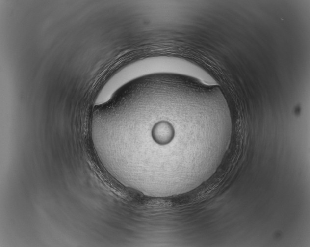 X0000116110421200912141025