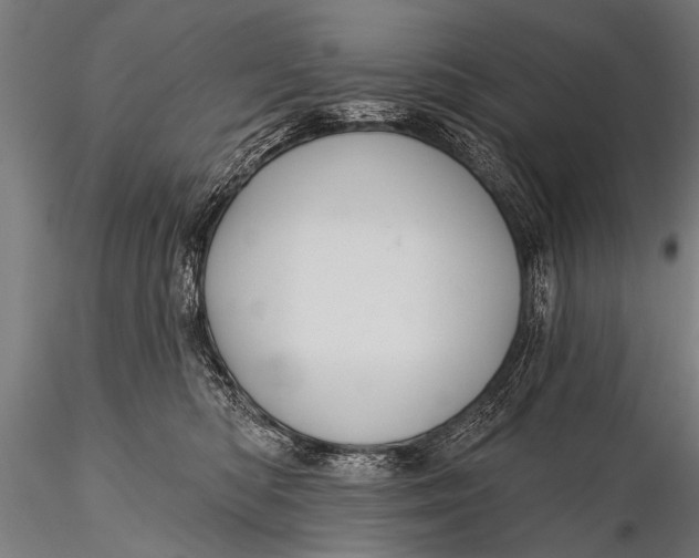 X0000116110422200912141025