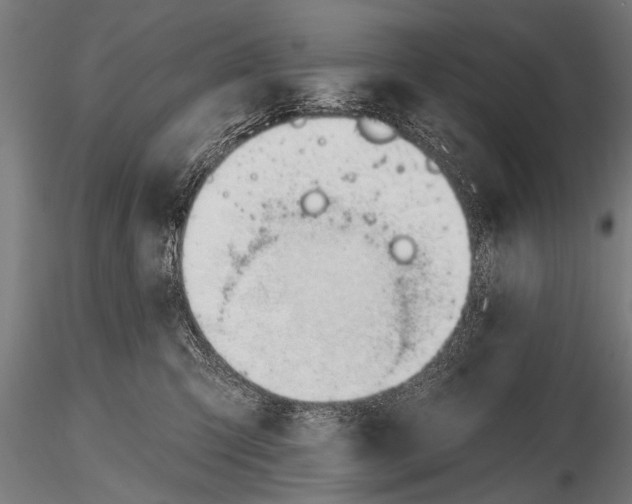 X0000116110423200912141025