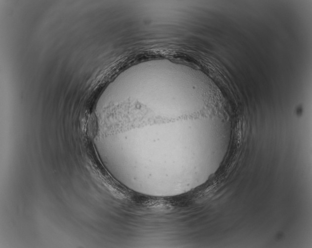 X0000116110424200912141025