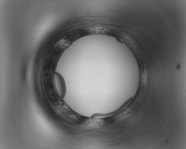 X0000116110429200912141025