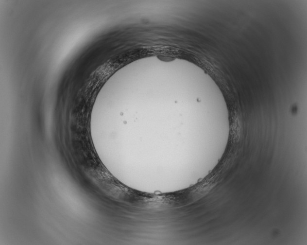 X0000116110430200912141025