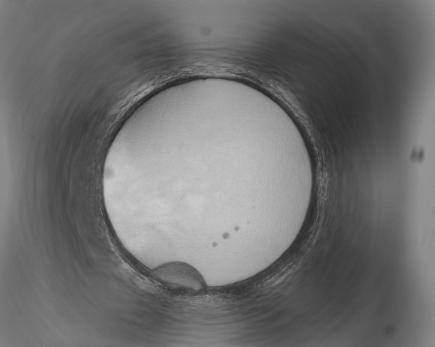 X0000116110433200912141024