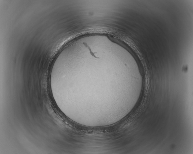 X0000116110434200912141024