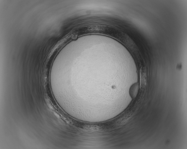 X0000116110435200912141024