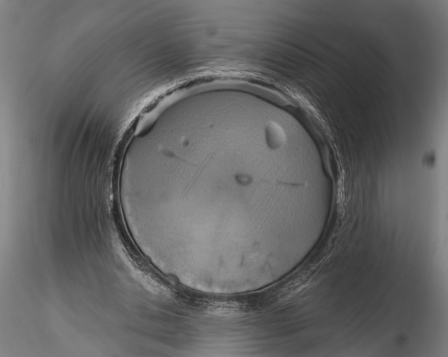 X0000116110438200912141024