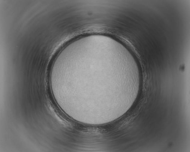 X0000116110439200912141024