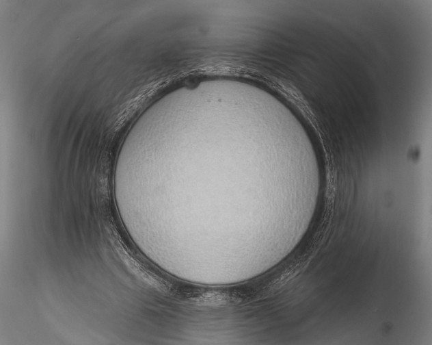 X0000116110441200912141024