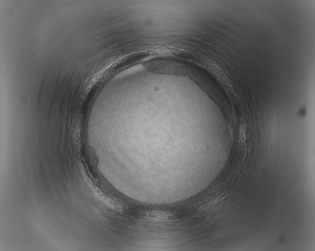 X0000116110444200912141025