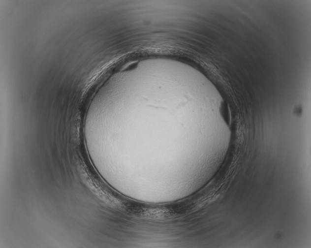 X0000116110446200912141025